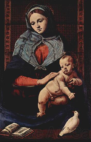 Piero di Cosimo Taubenmadonna Norge oil painting art